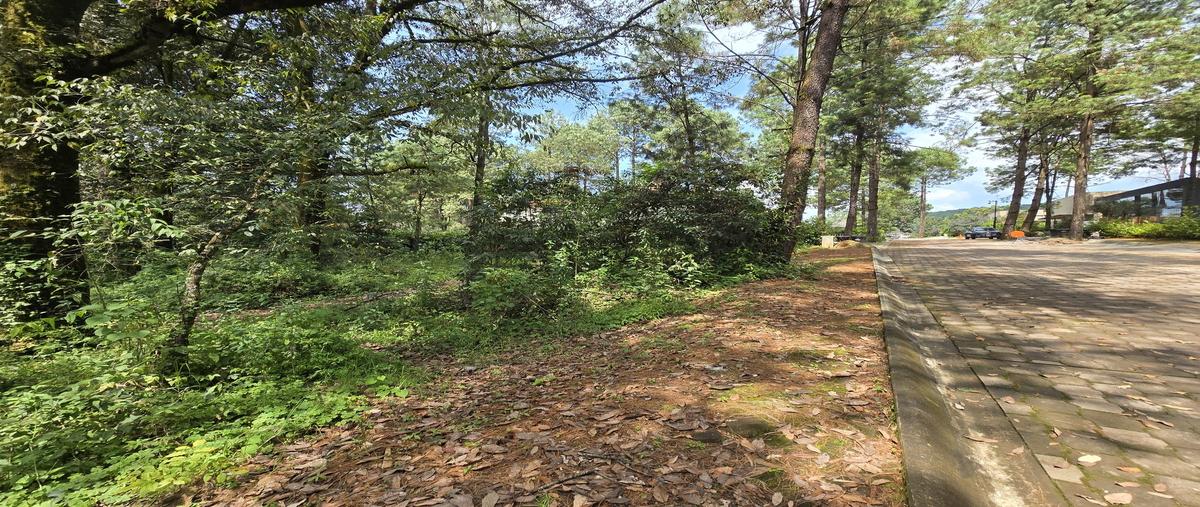 Foto de terreno habitacional en venta en club de golf avandaro , avándaro, valle de bravo, méxico, 30413610 No. 05