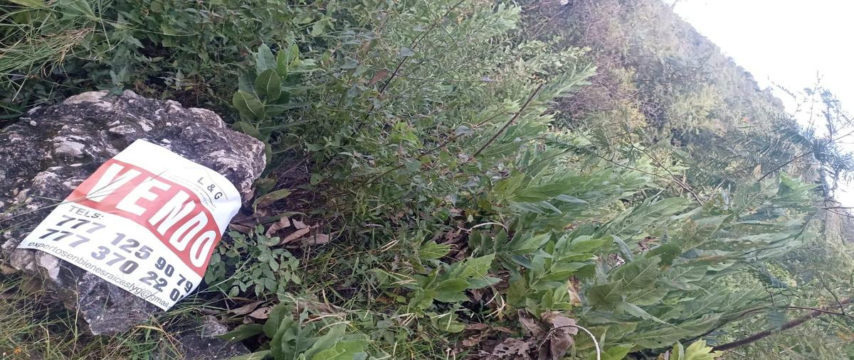 Foto de terreno habitacional en venta en  , club de golf hacienda san gaspar, jiutepec, morelos, 0 No. 03