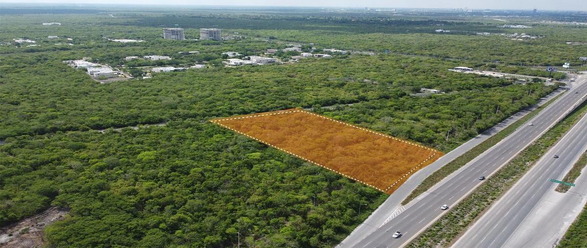 Foto de terreno comercial en renta en  , club de golf la ceiba, mérida, yucatán, 26693510 No. 03