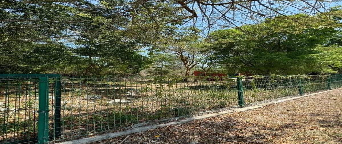 Foto de terreno habitacional en venta en  , club de golf la ceiba, mérida, yucatán, 0 No. 04