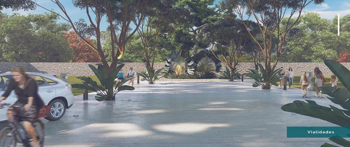 Foto de terreno habitacional en venta en  , club de golf la ceiba, mérida, yucatán, 7860362 No. 03