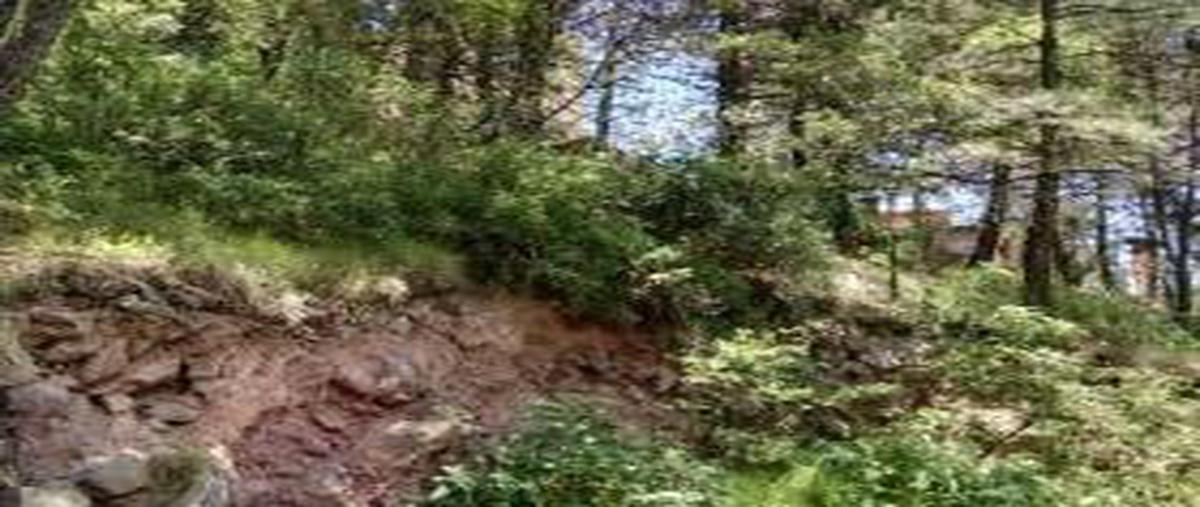 Foto de terreno habitacional en venta en  , club de golf los encinos, lerma, méxico, 0 No. 03