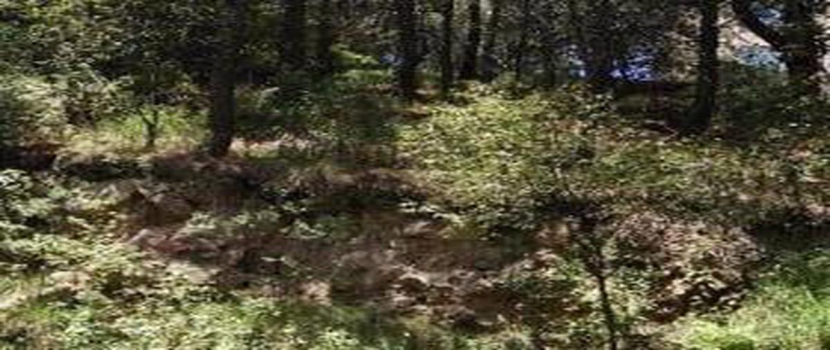 Foto de terreno habitacional en venta en  , club de golf los encinos, lerma, méxico, 0 No. 04