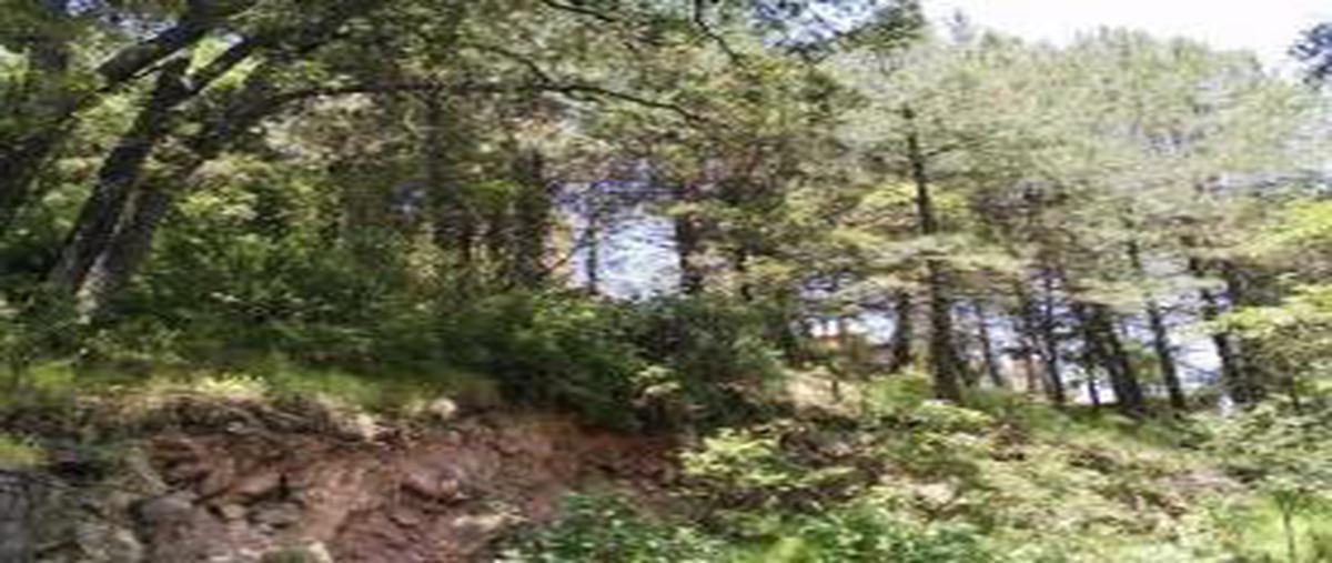 Foto de terreno habitacional en venta en  , club de golf los encinos, lerma, méxico, 0 No. 05