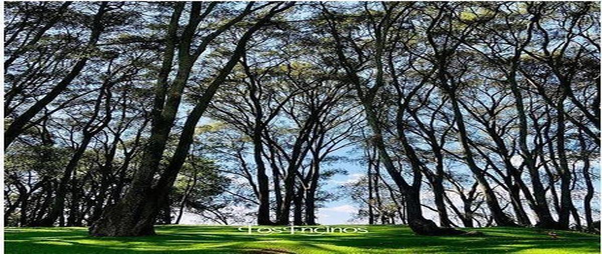 Foto de casa en , club de golf los encinos, lerma, méxico, 30933628 foto 04 Foto de casa en venta en , club de golf los encinos, lerma, méxico, 30933628 No. 04