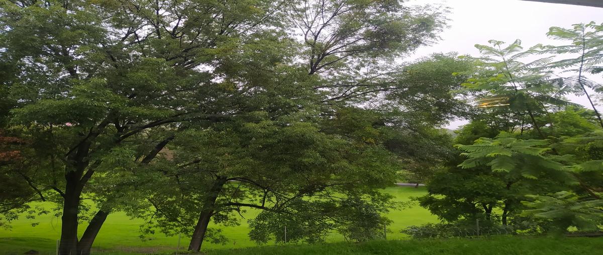 Foto de terreno habitacional en venta en  , club de golf méxico, tlalpan, df / cdmx, 28282621 No. 04