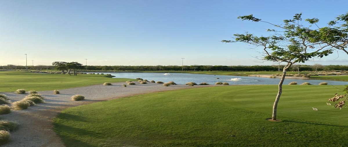 Foto de terreno habitacional en venta en club de golf provincia , tamanché, mérida, yucatán, 28432655 No. 05