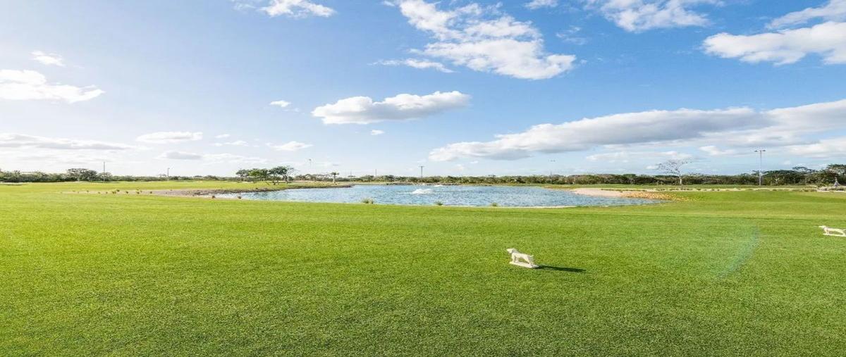 Foto de terreno habitacional en club de golf provincia , tamanché, mérida, yucatán, 0 foto 01 Foto de terreno habitacional en venta en club de golf provincia , tamanché, mérida, yucatán, 0 No. 01