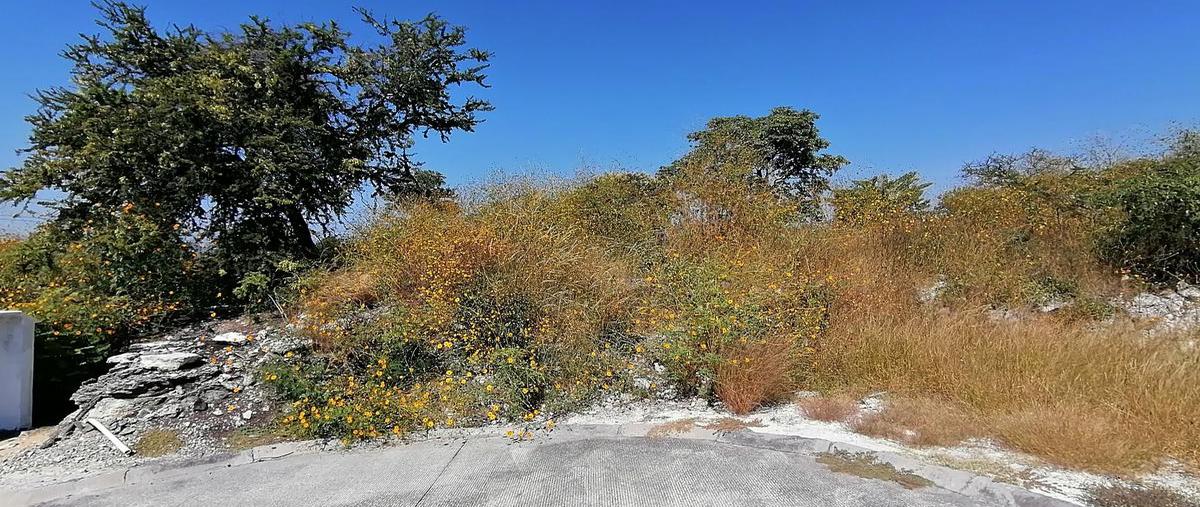 Foto de terreno habitacional en venta en  , club de golf santa fe, xochitepec, morelos, 15544233 No. 03