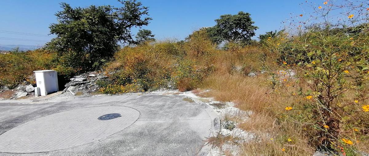 Foto de terreno habitacional en venta en  , club de golf santa fe, xochitepec, morelos, 15544233 No. 05