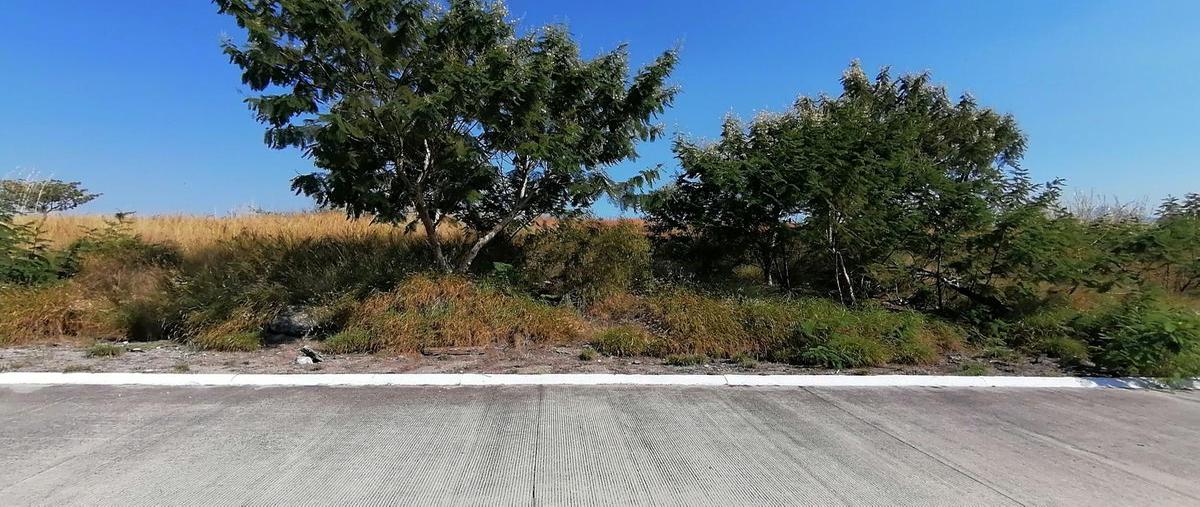 Foto de terreno habitacional en venta en  , club de golf santa fe, xochitepec, morelos, 0 No. 05