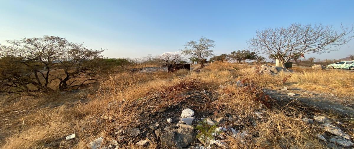 Foto de terreno habitacional en venta en  , club de golf santa fe, xochitepec, morelos, 0 No. 05
