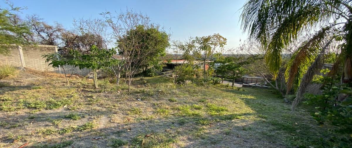 Foto de terreno habitacional en venta en  , club de golf santa fe, xochitepec, morelos, 29784699 No. 03