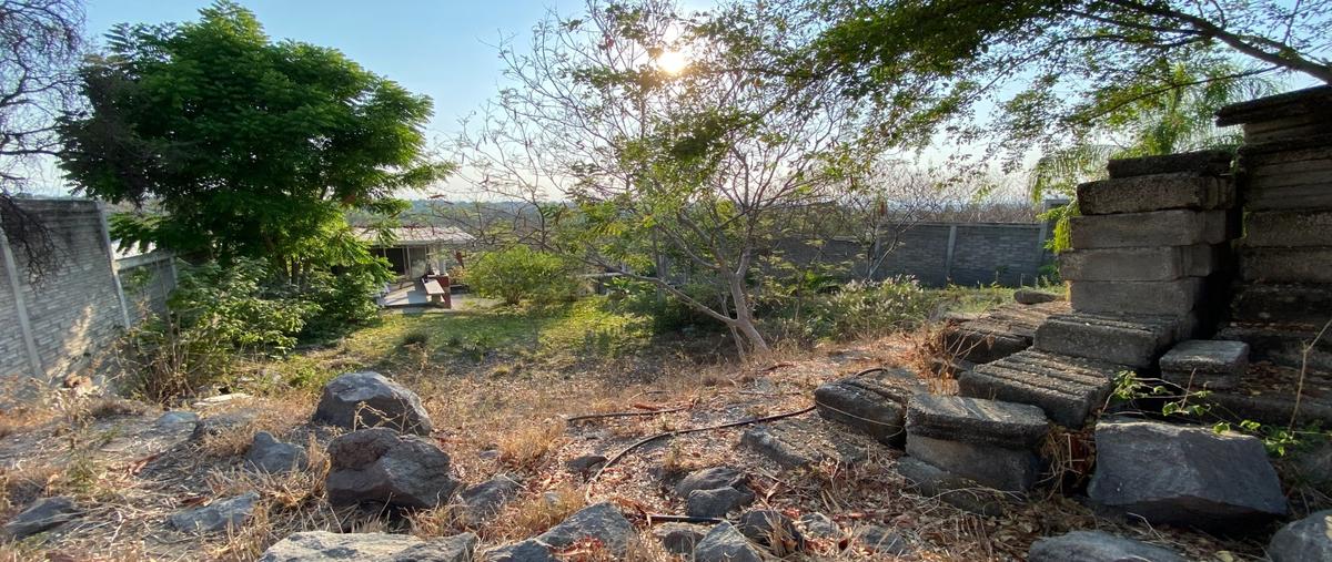 Foto de terreno habitacional en venta en  , club de golf santa fe, xochitepec, morelos, 29784699 No. 05