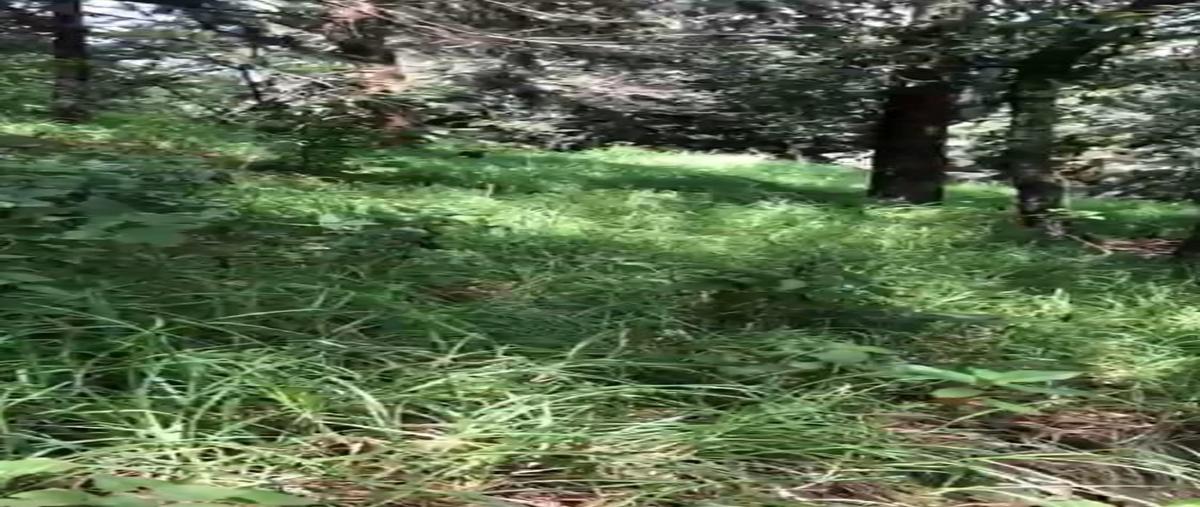 Foto de terreno habitacional en venta en  , club de golf valle escondido, atizapán de zaragoza, méxico, 26503208 No. 05