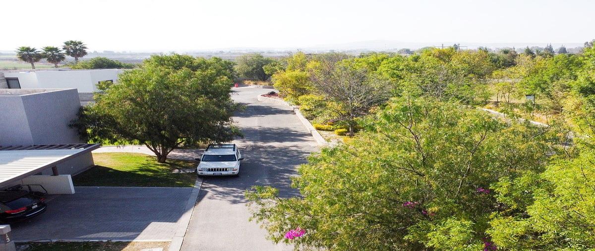 Foto de casa en renta en club de polo , polo y ski club, el marqués, querétaro, 0 No. 05