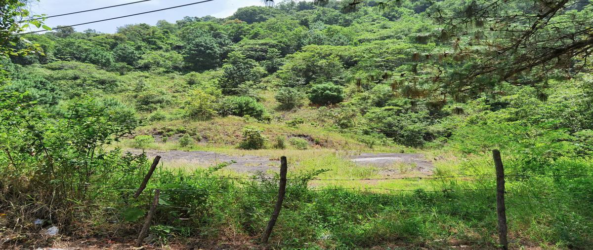 Foto de terreno comercial en venta en  , coacoatzintla, coacoatzintla, veracruz de ignacio de la llave, 18802775 No. 04