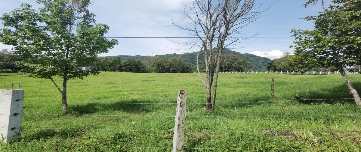 Foto de terreno habitacional en venta en  , coacoatzintla, coacoatzintla, veracruz de ignacio de la llave, 19678416 No. 04