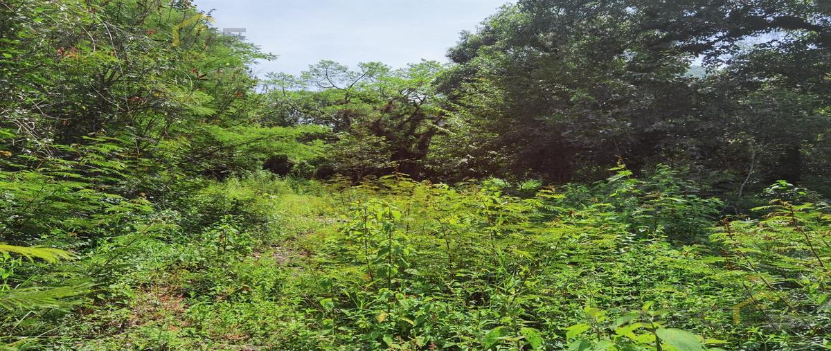 Foto de terreno habitacional en , coacoatzintla, coacoatzintla, veracruz de ignacio de la llave, 29816750 foto 03 Foto de terreno habitacional en venta en , coacoatzintla, coacoatzintla, veracruz de ignacio de la llave, 29816750 No. 03