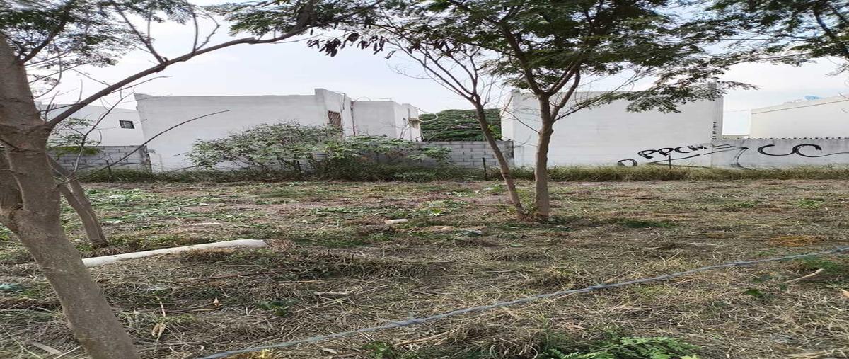 Foto de terreno comercial en renta en coahuila , paseo de guadalupe, guadalupe, nuevo león, 30239396 No. 05