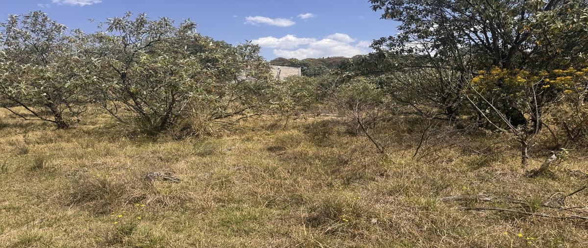 Foto de terreno habitacional en venta en  , coapanoaya, ocoyoacac, méxico, 0 No. 04