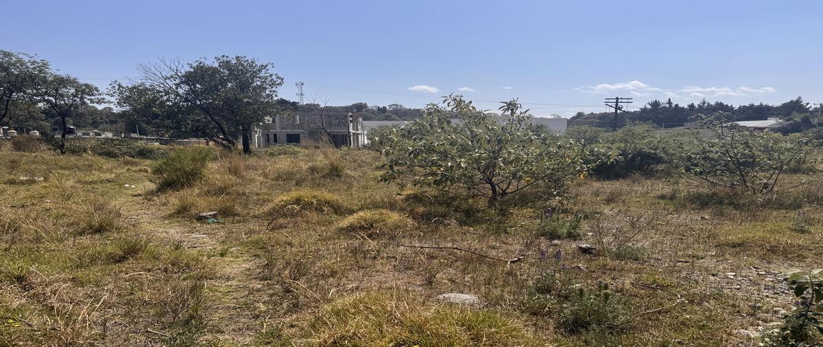 Foto de terreno habitacional en venta en  , coapanoaya, ocoyoacac, méxico, 0 No. 05