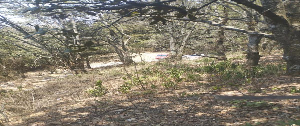 Foto de terreno habitacional en venta en coapanoya , coapanoaya, ocoyoacac, méxico, 26440461 No. 05