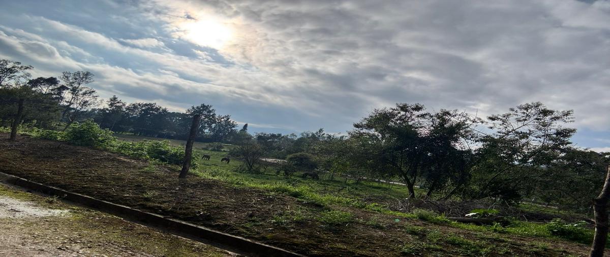 Foto de terreno habitacional en venta en  , coapexpan, xalapa, veracruz de ignacio de la llave, 0 No. 04