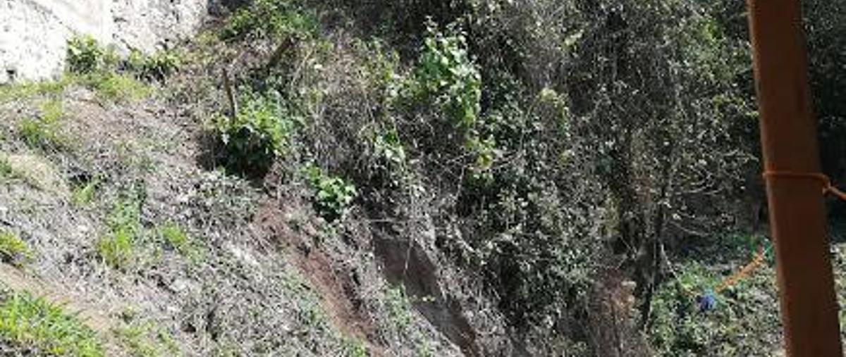 Foto de terreno habitacional en venta en  , coatepec centro, coatepec, veracruz de ignacio de la llave, 11299891 No. 04