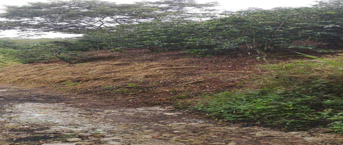 Foto de terreno habitacional en venta en  , coatepec centro, coatepec, veracruz de ignacio de la llave, 17101434 No. 03