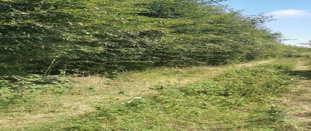 Foto de terreno habitacional en venta en  , coatepec centro, coatepec, veracruz de ignacio de la llave, 19731696 No. 03