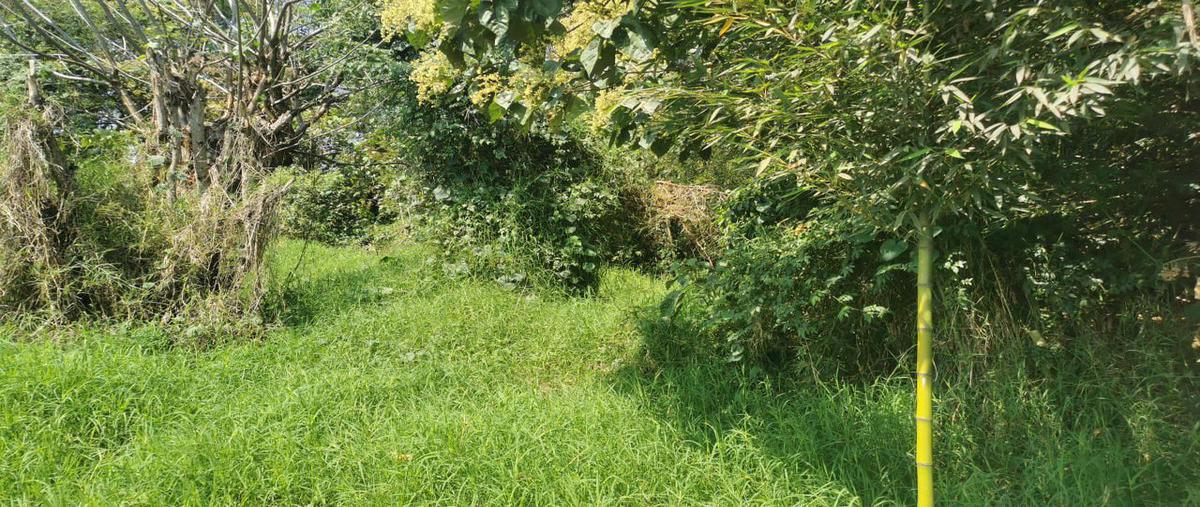 Foto de terreno habitacional en venta en  , coatepec centro, coatepec, veracruz de ignacio de la llave, 19731696 No. 04