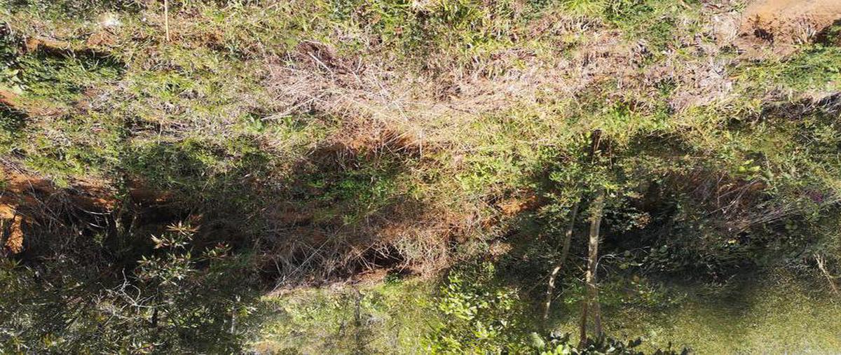 Foto de terreno habitacional en , coatepec centro, coatepec, veracruz de ignacio de la llave, 0 foto 01 Foto de terreno habitacional en venta en , coatepec centro, coatepec, veracruz de ignacio de la llave, 0 No. 01