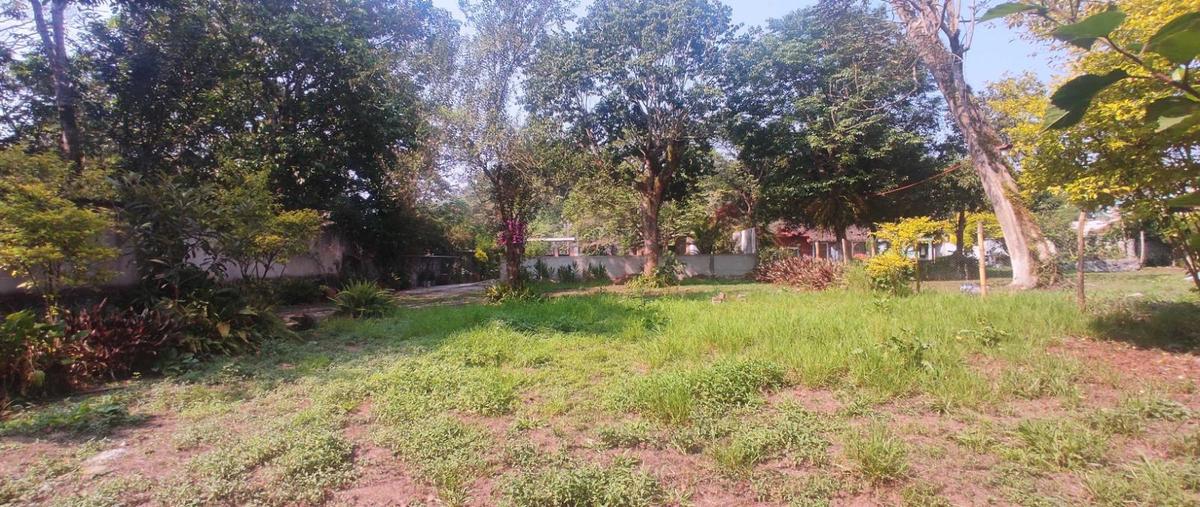 Foto de terreno habitacional en , coatepec centro, coatepec, veracruz de ignacio de la llave, 28430214 foto 03 Foto de terreno habitacional en venta en , coatepec centro, coatepec, veracruz de ignacio de la llave, 28430214 No. 03
