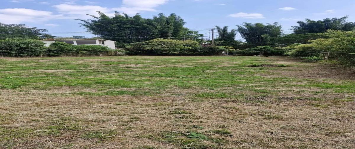 Foto de terreno habitacional en venta en  , coatepec centro, coatepec, veracruz de ignacio de la llave, 0 No. 03