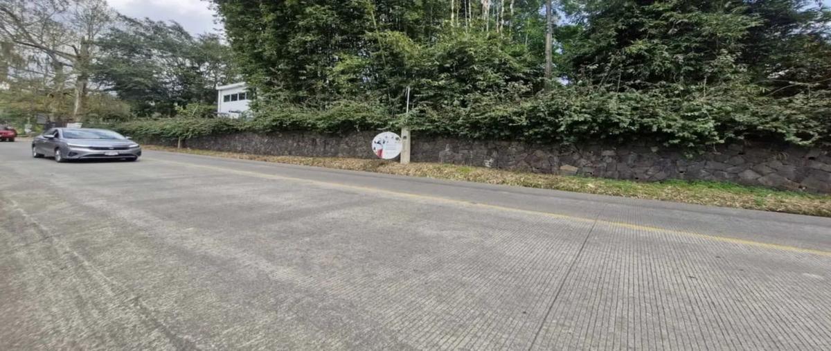 Foto de terreno habitacional en venta en  , coatepec centro, coatepec, veracruz de ignacio de la llave, 0 No. 04