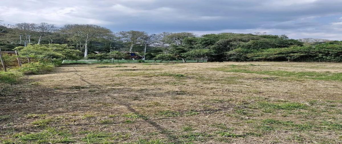 Foto de terreno habitacional en venta en  , coatepec centro, coatepec, veracruz de ignacio de la llave, 0 No. 05