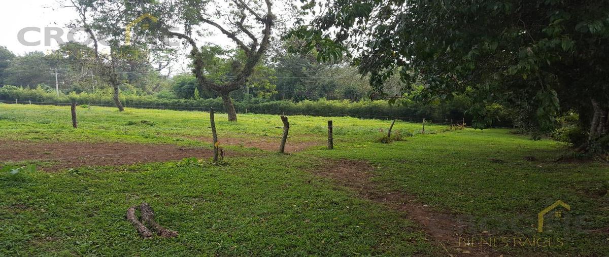 Foto de terreno habitacional en , coatepec centro, coatepec, veracruz de ignacio de la llave, 0 foto 02 Foto de terreno habitacional en venta en , coatepec centro, coatepec, veracruz de ignacio de la llave, 0 No. 02