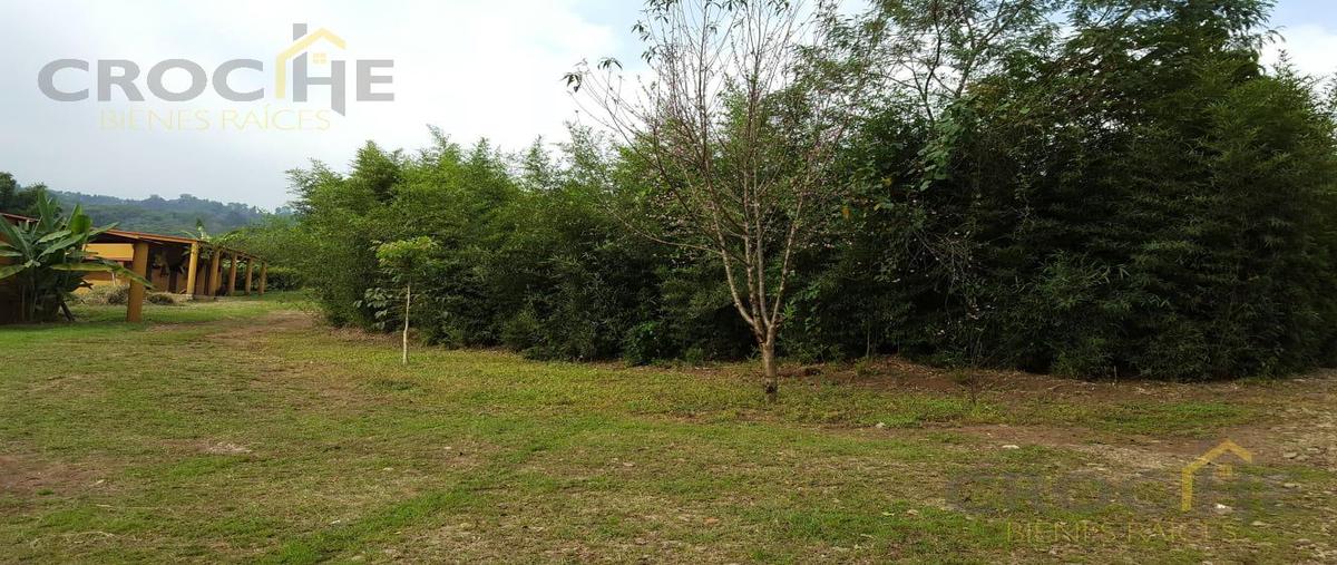 Foto de terreno habitacional en , coatepec centro, coatepec, veracruz de ignacio de la llave, 0 foto 05 Foto de terreno habitacional en venta en , coatepec centro, coatepec, veracruz de ignacio de la llave, 0 No. 05