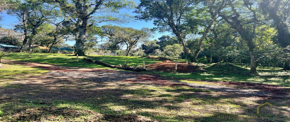 Foto de terreno habitacional en venta en  , coatepec centro, coatepec, veracruz de ignacio de la llave, 29816589 No. 03