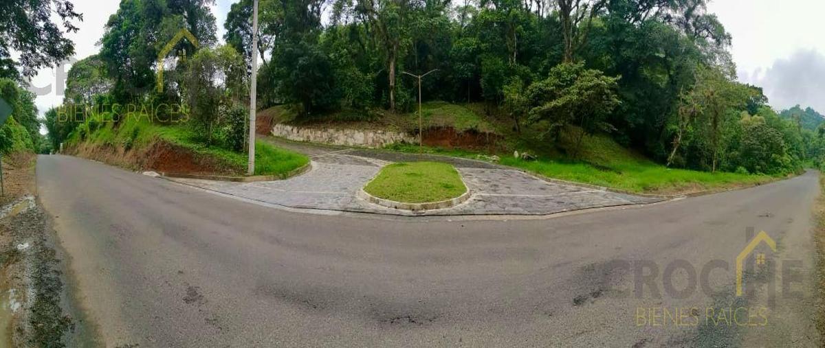 Foto de terreno habitacional en venta en  , coatepec centro, coatepec, veracruz de ignacio de la llave, 29816589 No. 04