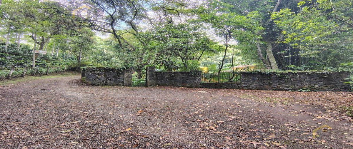 Foto de casa en , coatepec centro, coatepec, veracruz de ignacio de la llave, 30192564 foto 02 Foto de casa en venta en , coatepec centro, coatepec, veracruz de ignacio de la llave, 30192564 No. 02