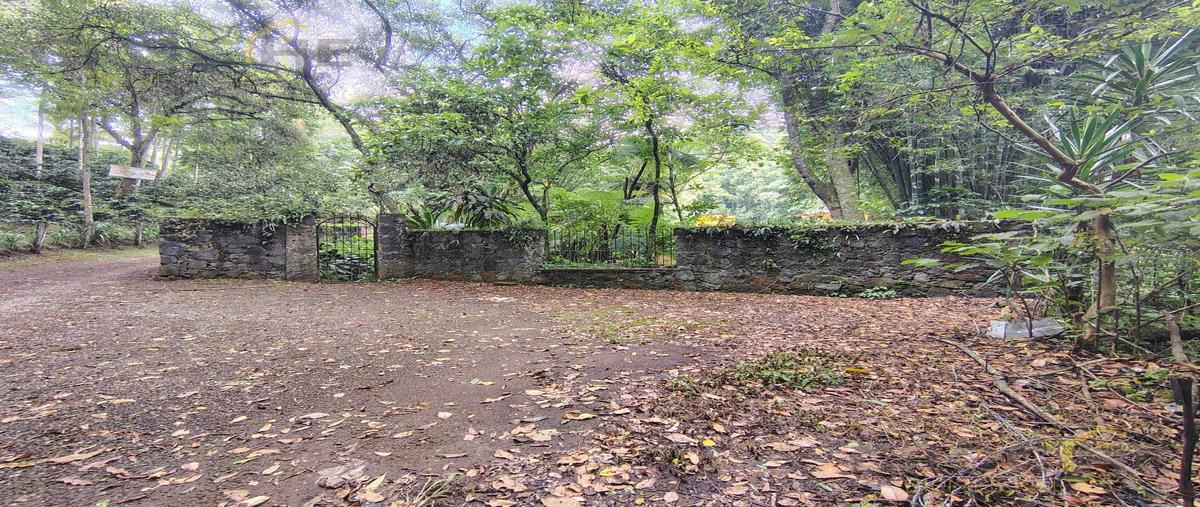 Foto de casa en , coatepec centro, coatepec, veracruz de ignacio de la llave, 30192564 foto 04 Foto de casa en venta en , coatepec centro, coatepec, veracruz de ignacio de la llave, 30192564 No. 04