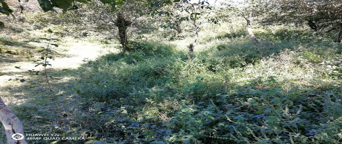 Foto de terreno habitacional en venta en  , coatepec centro, coatepec, veracruz de ignacio de la llave, 30357694 No. 03