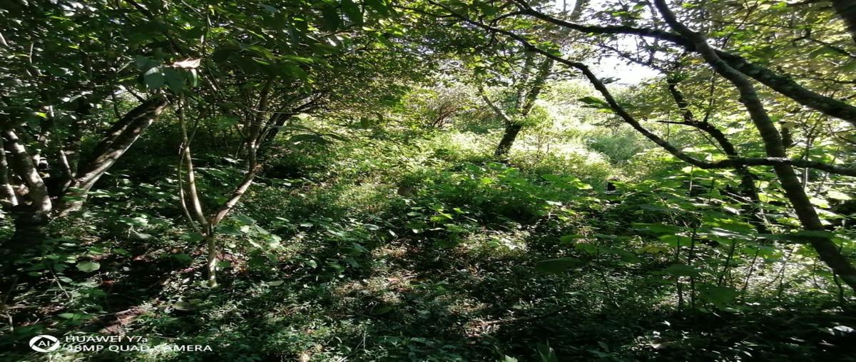 Foto de terreno habitacional en venta en  , coatepec centro, coatepec, veracruz de ignacio de la llave, 30357694 No. 04