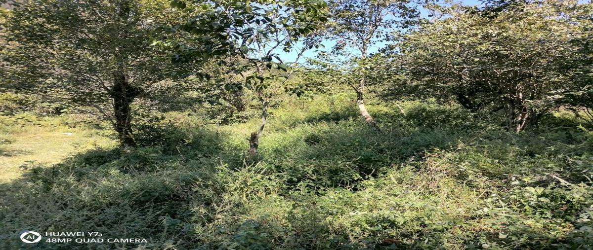 Foto de terreno habitacional en venta en  , coatepec centro, coatepec, veracruz de ignacio de la llave, 30357694 No. 05