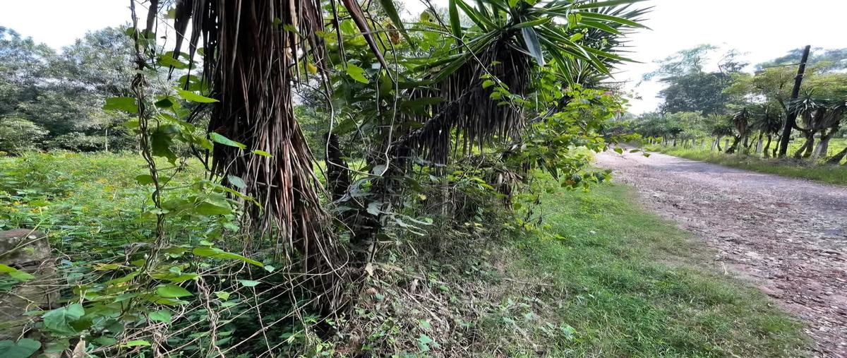 Foto de terreno habitacional en venta en  , coatepec centro, coatepec, veracruz de ignacio de la llave, 0 No. 03