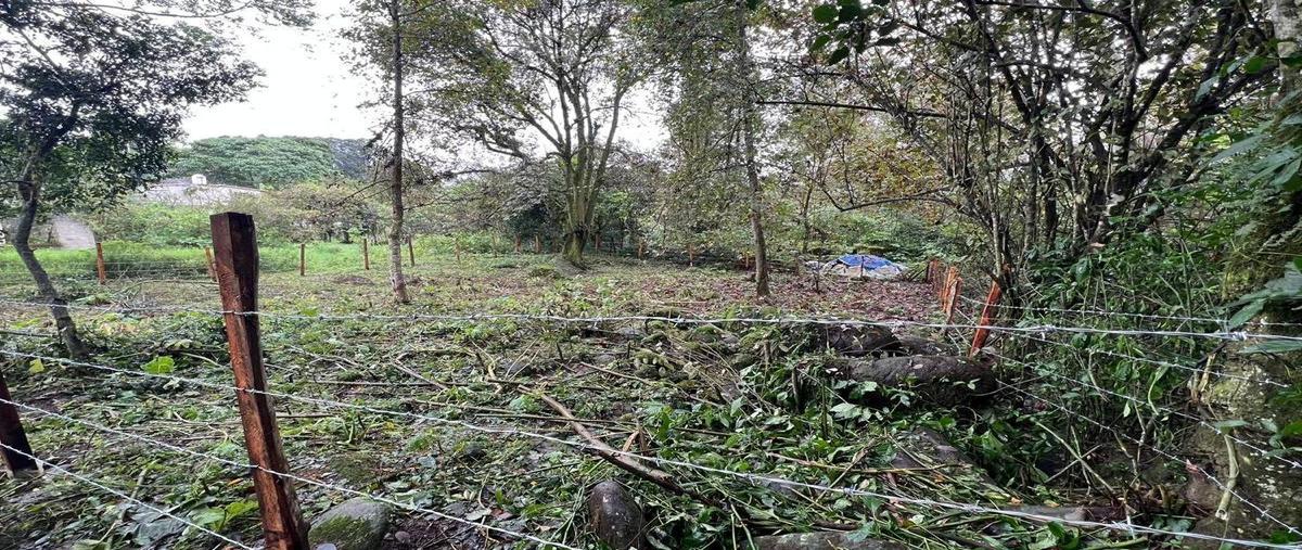 Foto de terreno habitacional en venta en  , coatepec centro, coatepec, veracruz de ignacio de la llave, 0 No. 05