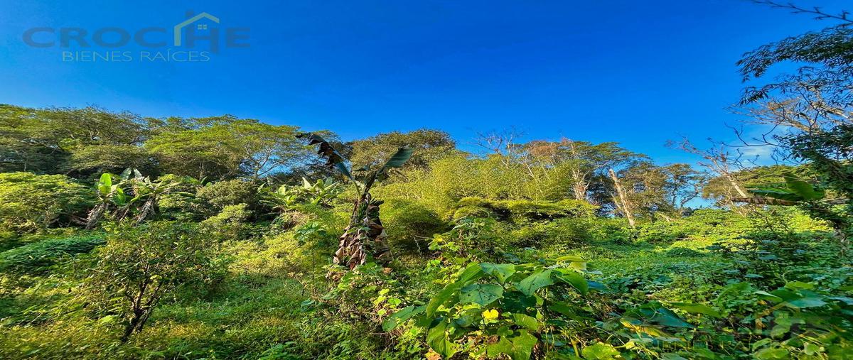 Foto de terreno habitacional en venta en  , coatepec centro, coatepec, veracruz de ignacio de la llave, 0 No. 04