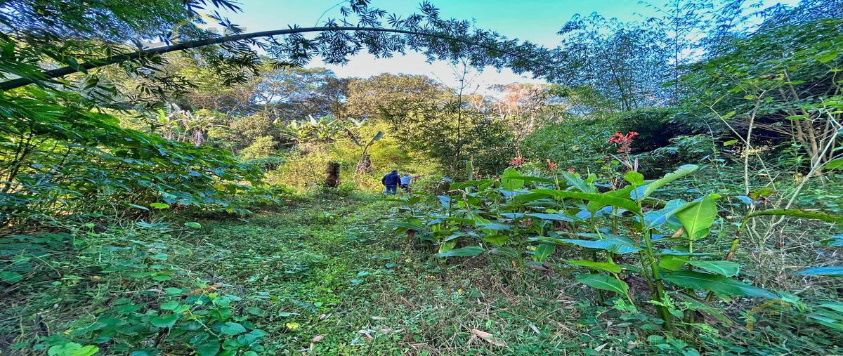 Foto de terreno habitacional en venta en  , coatepec centro, coatepec, veracruz de ignacio de la llave, 0 No. 05